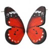 Noir/ Rouge/ Blanc