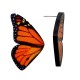 Boucles D'Oreilles en Acrylique Plexi Papillon 25 x 43 mm (2 Pièces/Set)