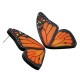Orecchino in Plexi Farfalla 25x43mm (2p.zzi/Set)