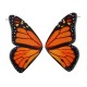 Orecchino in Plexi Farfalla 25x43mm (2p.zzi/Set)