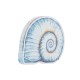 Plexi Acrylic Decorative Shell 85x72mm