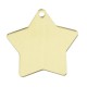 Plexi Acrylic Pendant Star 40x38mm