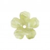 Pearl Light Green