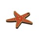 Ciondolo in Legno a Forma di Stella Marina 33X31 mm