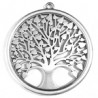 Argent Vieilli 999°/5μm