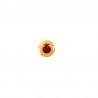 24K Gold Plated/ 0.12µm/ Glitter Red