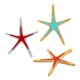 Colgante de Zamak esmaltado con forma de Estrella de Mar 43 x 53 mm