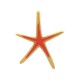 Colgante de Zamak esmaltado con forma de Estrella de Mar 43 x 53 mm
