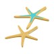 Colgante de Zamak esmaltado con forma de Estrella de Mar 43 x 53 mm