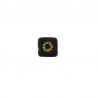 Negro/ Oro