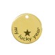 Charm rond en Laiton « my Lucky year » avec Étoile 20 mm Ø1.9 mm