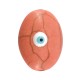 Enameled Howlite Bead Oval with Evil Eye 13x18mm Ø1.5mm