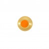 Plaqué or 24 carats/ Orange fluo