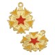 Charm Étoile en Zamak Émaillé avec Flèche 24 mm