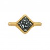24K Gold Plated/ Glitter Black
