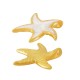 Enameled Zamak Charm Starfish 24mm