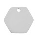 Enameled Stainless Steel 304 Hexagon with Mushroom 15x13mm