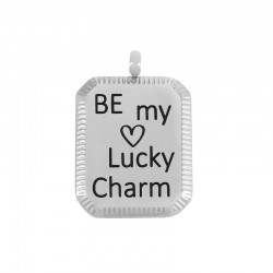 Ciondolo in Acciaio Inossidabile 304 "Charm" con Cuore 14x17 mm