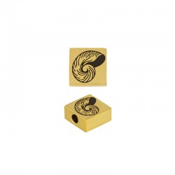 Slider Quadrato in Acciaio Inossidabile 304 con Conchiglia 8,5 mm Ø2 mm