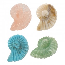 Conchiglia Scorrevole in Acrilico 32x41 mm/17 mm Ø 3 mm