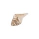 Enameled Ceramic Pendant Beige Shell 24x47mm