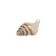 Enameled Ceramic Pendant Beige Shell 24x47mm