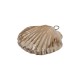 Enameled Ceramic Pendant Beige Shell ~47x44mm