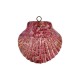 Enameled Ceramic Pendant Fuchsia Shell ~47x44mm