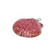 Enameled Ceramic Pendant Fuchsia Shell ~47x44mm