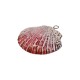 Enameled Ceramic Pendant Black Dalia Shell ~47x44mm