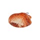 Pendentif en céramique émaillée Coquillage Orange ~47x44 mm