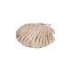 Ciondolo In Ceramica A Forma Di Conchiglia Beige 47x44 mm