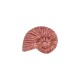 Ceramic Slider Pink Shell 33x42mm Ø2.8mm