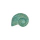 Ceramic Slider Veraman Shell 33x42mm Ø2.8mm