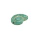 Ceramic Slider Veraman Shell 33x42mm Ø2.8mm
