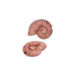 Coulisseau en Céramique Coquillage Rose 22 x 8 mm Ø 2.2 mm