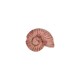 Cursore in Ceramica con Conchiglia Rosa 22x8 mm Ø2,2 mm