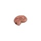 Cursore in Ceramica con Conchiglia Rosa 22x8 mm Ø2,2 mm