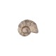 Coulisseau en céramique coquillage beige 22 x 8 mm Ø 2.2 mm