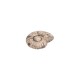 Coulisseau en céramique coquillage beige 22 x 8 mm Ø 2.2 mm