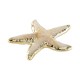 Conchiglia Pendente in Acrilico UV 46x50 mm/11 mm Ø 1,0 mm