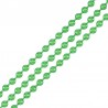 Electro Light Green Shinny