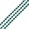 Electro Dark Green Shinny