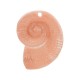 Ακρυλικό Μοτίφ Κοχύλι 52x68mm/18mm Ø4mm