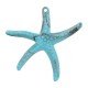Acrylic Pendant Starfish 88x86mm/16mm Ø3.6mm