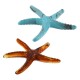 Acrylic Pendant Starfish 88x86mm/16mm Ø3.6mm
