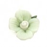 Vert clair/Blanc/Vert foncé