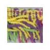Multicolore