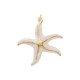 Enameled Stainless  Steel 304 Pendant Starfish 34x33mm