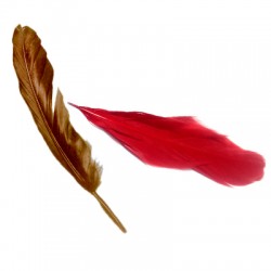 Piuma Naturale 150mm (~100pz/confezione)